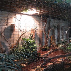 Tropenvoegel House - aviary 011218