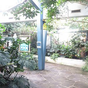 Tropenvoegel House - aviary 011218