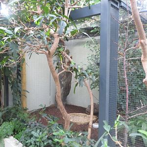 Tropenvoegel House - aviary 011218