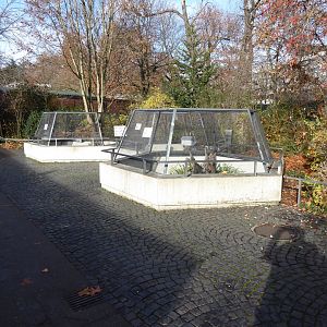 Outdoor reptile terraria 011218