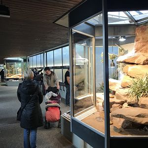 Terrarien - view inside reptile section 011218