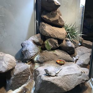 Terrarien example 011218