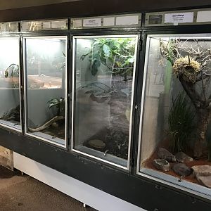 Terrarien - various terraria 011218