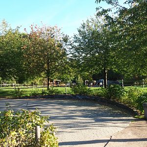 Road to the entrance and Dutch Belted cow pasture (Oct 13th, 2018)