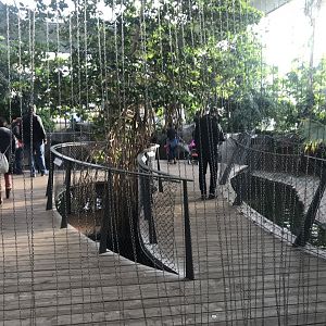 Krokodilhalle entrance 011218