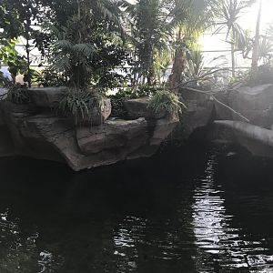 Krokodilhalle - Saltwater crocodile exhibit 011218