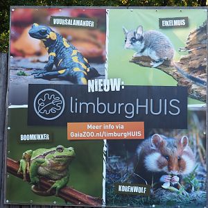 Sign new Limburg House (Oct 13th, 2018)