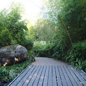 Valley park area (Oct 13th, 2018)