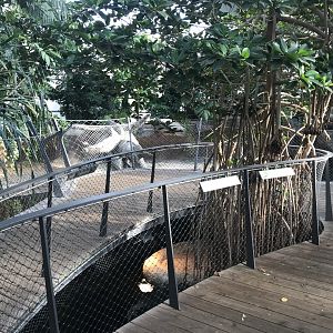 Krokodilhalle - central turtle exhibit 011218