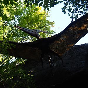 Pterosaur model (Oct 13th, 2018)