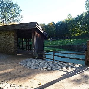 Bactrian camel paddock and viewing shelter (Oct 13th, 2018)