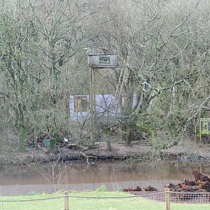 Lar gibbon housing, January 2019