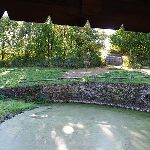 Bactrian camel paddock (Oct 13th, 2018)