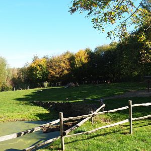 Bactrian camel paddock (Oct 13th, 2018)