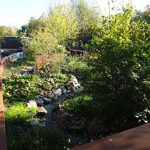 New European mink exhibits - First of three exhibits (Oct 13th, 2018)