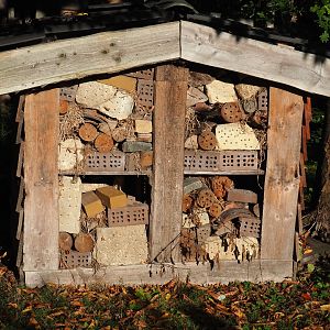 Insect hotel (Oct 13th, 2018)