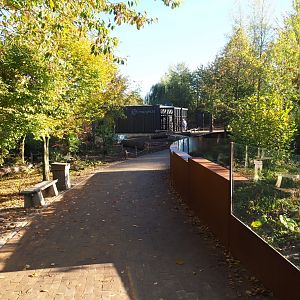 Pathway to new Limburg House alongside new Mink exhibits (Oct 13th, 2018)