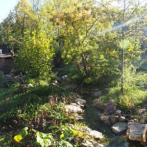 New European mink exhibit - Second of three exhibits (Oct 13th, 2018)