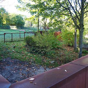 New European mink exhibits - Third of three exhibits (Oct 13th, 2018)