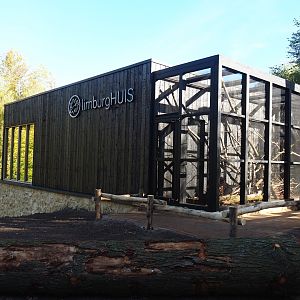 New Limburg House (Oct 13th, 2018)