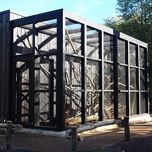 European garden dormouse exhibit (Oct 13th, 2018)