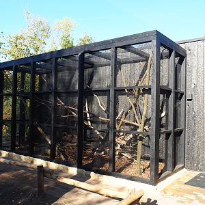 European garden dormouse exhibit (Oct 13th, 2018)