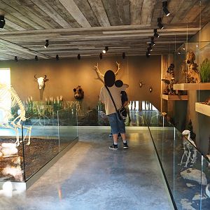 Limburg House museum floor (Oct 13th, 2018)