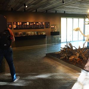 Limburg House museum floor (Oct 13th, 2018)