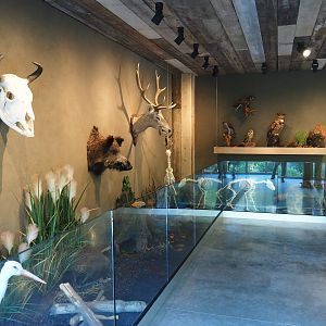 Limburg House museum floor (Oct 13th, 2018)