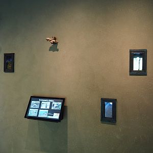 Wall with European garden dormouse nesting boxes (Oct 13th, 2018)