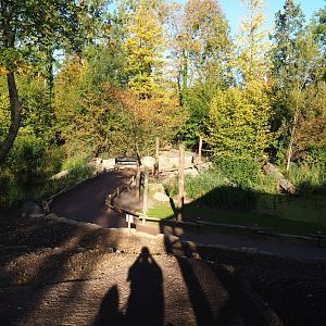 View into the park (Oct 13th, 2018)