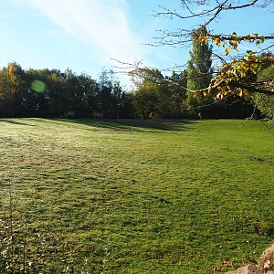 Przewalski's wild horse paddock (Oct 13th, 2018)
