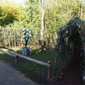 Living willow play tunnel (Oct 13th, 2018)