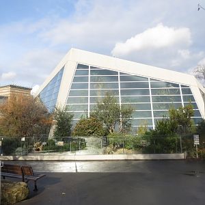 Outdoor tortoise exhibit 011218