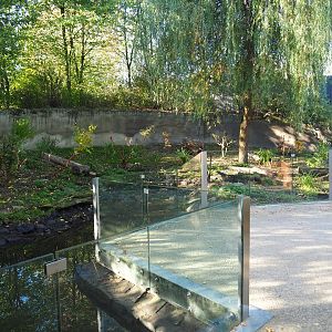 Eurasian otter exhibit and viewing area (Oct 13th, 2018)