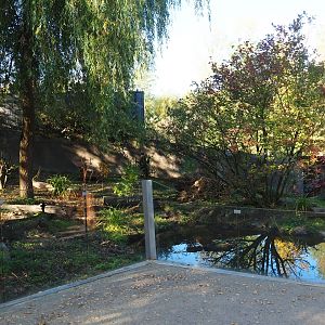 Eurasian otter exhibit (Oct 13th, 2018)
