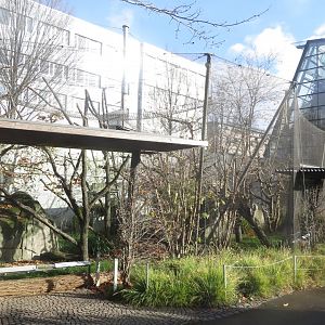 Amazonienhaus - outdoor exhibit for monkeys 011218