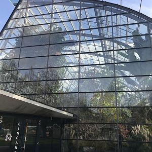 Amazonienhaus 011218