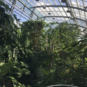 Amazonienhaus 011218