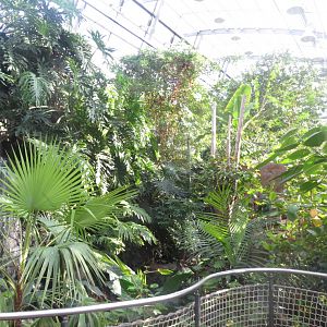 Amazonienhaus 011218