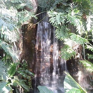 Amazonienhaus - waterfall 011218