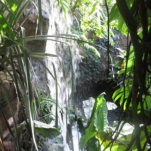 Amazonienhaus - waterfall 011218