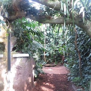 Amazonienhaus 011218