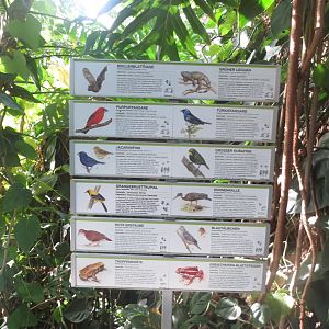 Amazonienhaus - free roaming inhabitants sign 011218