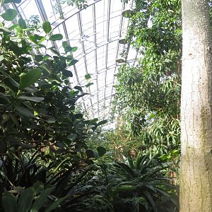 Amazonienhaus 011218