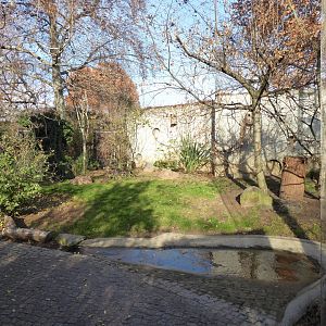 Vogelfreifluganlage 011218