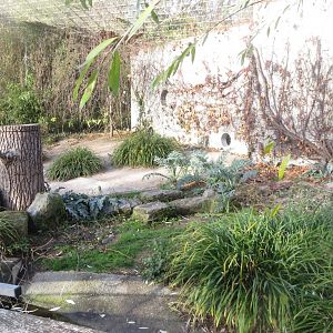 Vogelfreifluganlage 011218