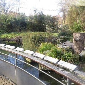 Vogelfreifluganlage 011218