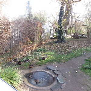 Vogelfreifluganlage 011218