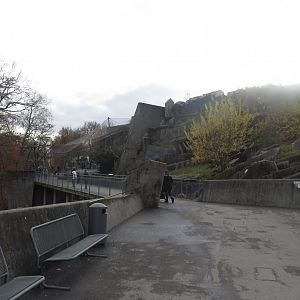 Mountain animal exhibits 011218